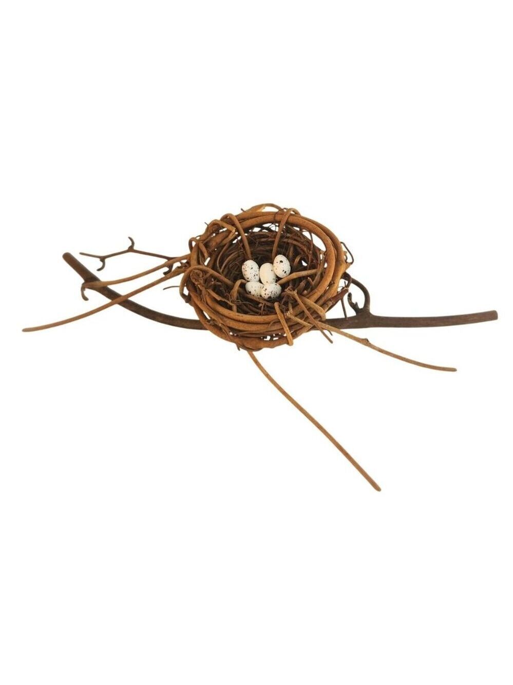 Natural Grapevine Nest With 5 Speckled Eggs DIY Decor For Crafts & Wreaths